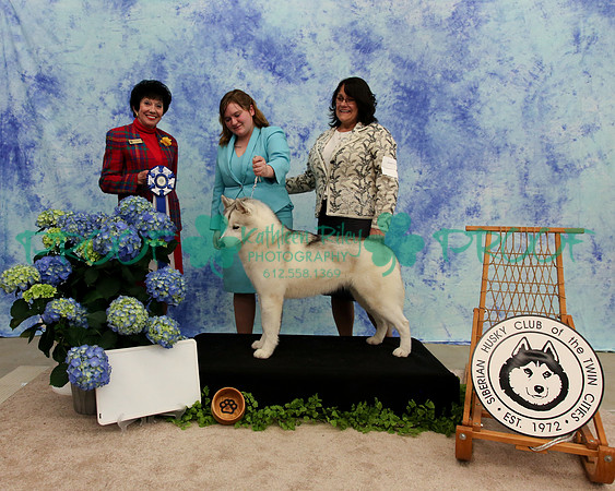 PROOF Specialty Siberian Husky Club of the Twin Cities Judge Barbara Dempsey Alderman