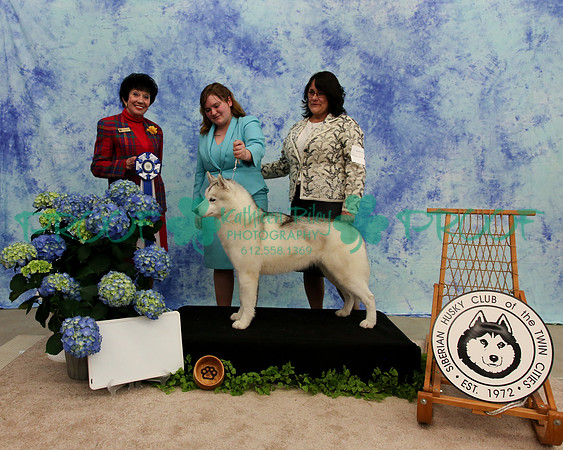 PROOF Specialty Siberian Husky Club of the Twin Cities Judge Barbara Dempsey Alderman