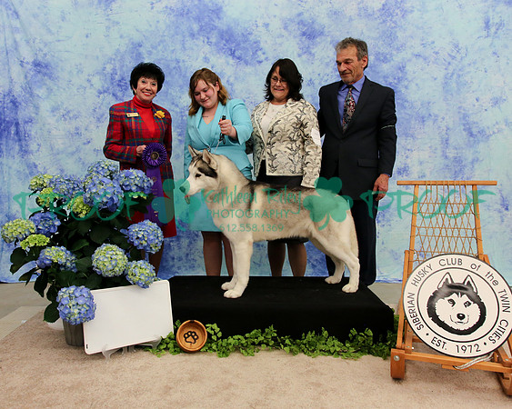 PROOF Specialty Siberian Husky Club of the Twin Cities Judge Barbara Dempsey Alderman