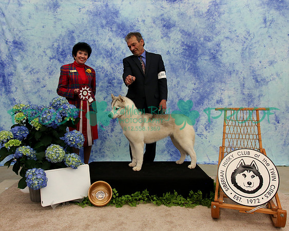 PROOF Specialty Siberian Husky Club of the Twin Cities Judge Barbara Dempsey Alderman