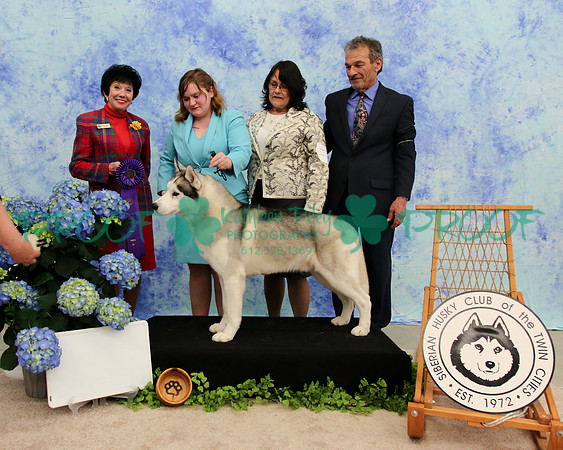 PROOF Specialty Siberian Husky Club of the Twin Cities Judge Barbara Dempsey Alderman