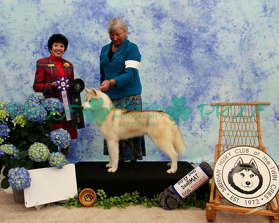 PROOF Specialty Siberian Husky Club of the Twin Cities Judge Barbara Dempsey Alderman