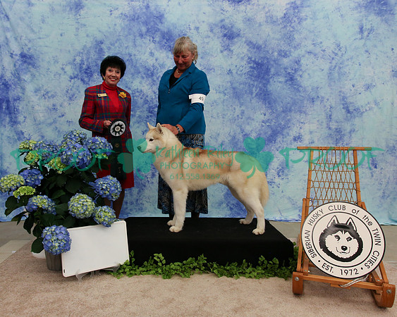 PROOF Specialty Siberian Husky Club of the Twin Cities Judge Barbara Dempsey Alderman