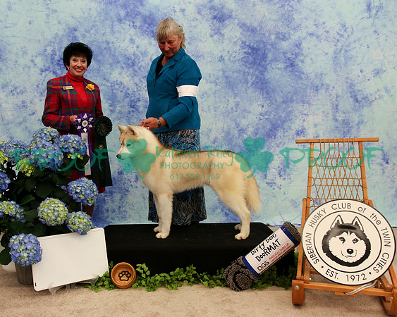PROOF Specialty Siberian Husky Club of the Twin Cities Judge Barbara Dempsey Alderman