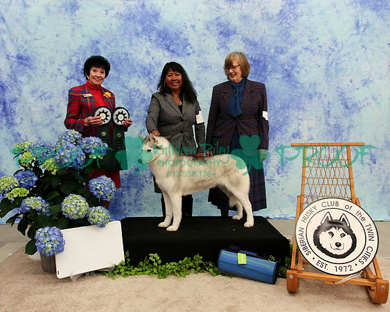 PROOF Specialty Siberian Husky Club of the Twin Cities Judge Barbara Dempsey Alderman