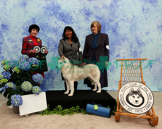 PROOF Specialty Siberian Husky Club of the Twin Cities Judge Barbara Dempsey Alderman