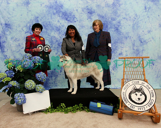 PROOF Specialty Siberian Husky Club of the Twin Cities Judge Barbara Dempsey Alderman