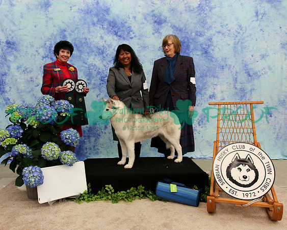 PROOF Specialty Siberian Husky Club of the Twin Cities Judge Barbara Dempsey Alderman