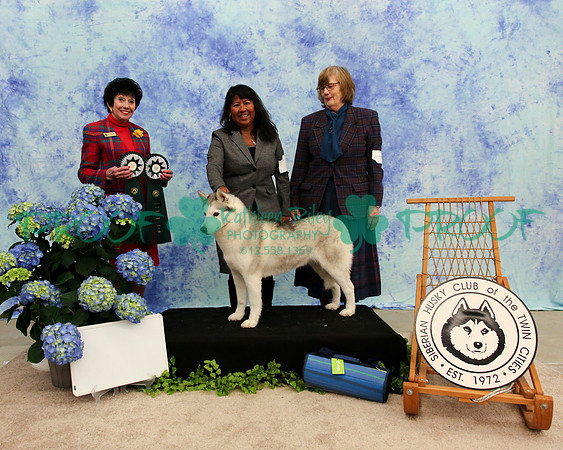 PROOF Specialty Siberian Husky Club of the Twin Cities Judge Barbara Dempsey Alderman