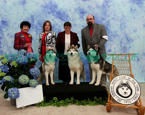 PROOF Specialty Siberian Husky Club of the Twin Cities Judge Barbara Dempsey Alderman