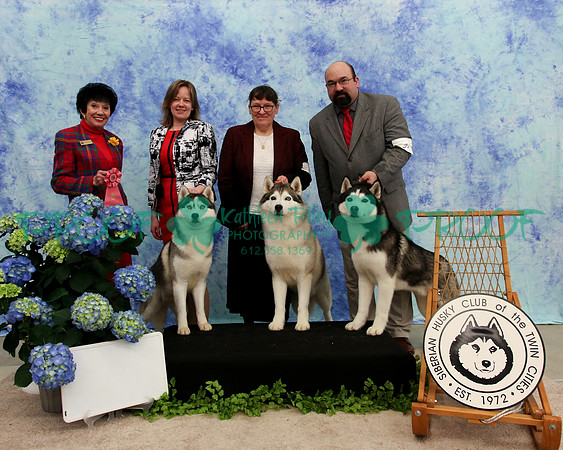 PROOF Specialty Siberian Husky Club of the Twin Cities Judge Barbara Dempsey Alderman