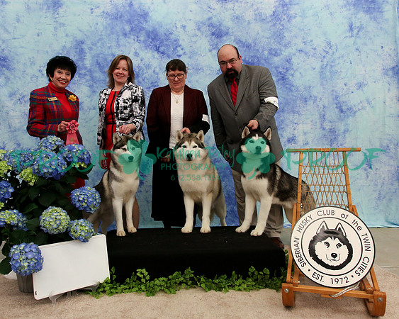 PROOF Specialty Siberian Husky Club of the Twin Cities Judge Barbara Dempsey Alderman