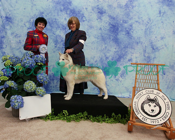 PROOF Specialty Siberian Husky Club of the Twin Cities Judge Barbara Dempsey Alderman