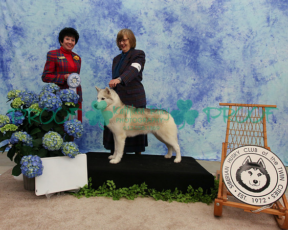 PROOF Specialty Siberian Husky Club of the Twin Cities Judge Barbara Dempsey Alderman