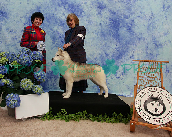 PROOF Specialty Siberian Husky Club of the Twin Cities Judge Barbara Dempsey Alderman
