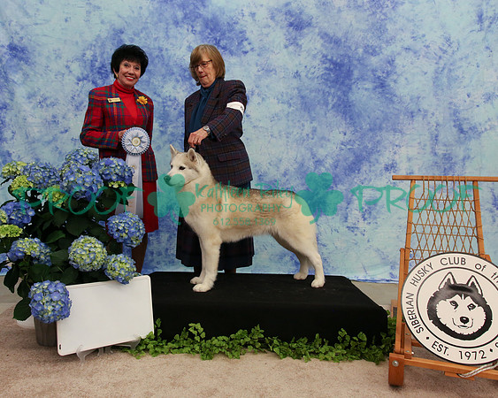 PROOF Specialty Siberian Husky Club of the Twin Cities Judge Barbara Dempsey Alderman