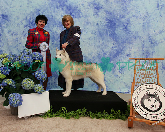 PROOF Specialty Siberian Husky Club of the Twin Cities Judge Barbara Dempsey Alderman
