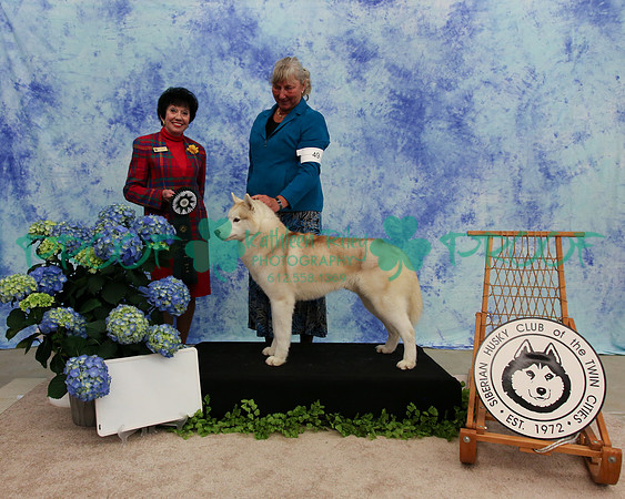PROOF Specialty Siberian Husky Club of the Twin Cities Judge Barbara Dempsey Alderman