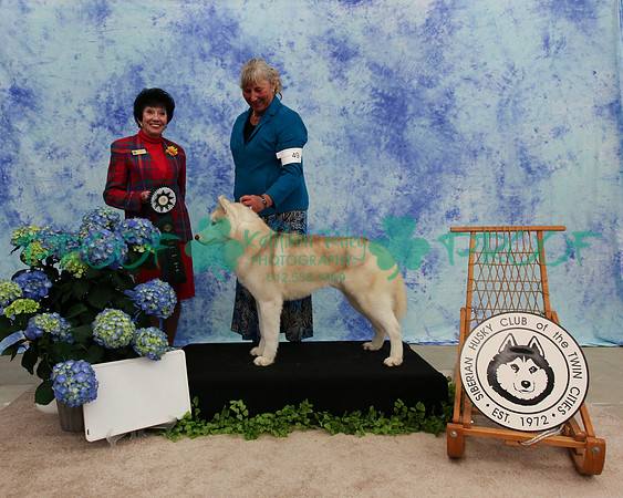PROOF Specialty Siberian Husky Club of the Twin Cities Judge Barbara Dempsey Alderman