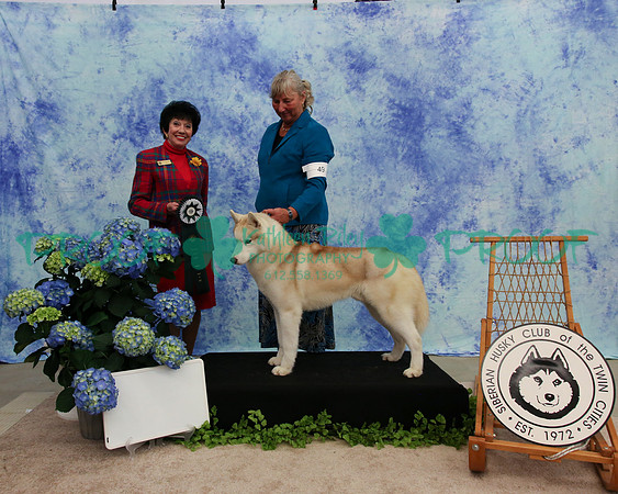 PROOF Specialty Siberian Husky Club of the Twin Cities Judge Barbara Dempsey Alderman