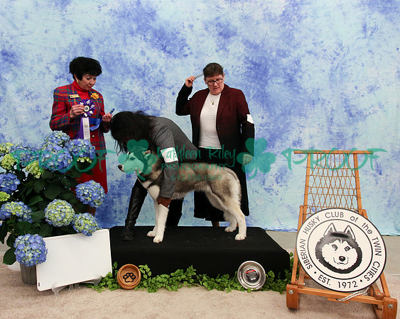 PROOF Specialty Siberian Husky Club of the Twin Cities Judge Barbara Dempsey Alderman
