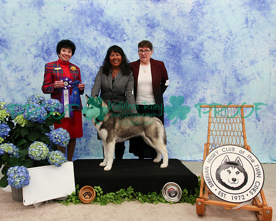 PROOF Specialty Siberian Husky Club of the Twin Cities Judge Barbara Dempsey Alderman