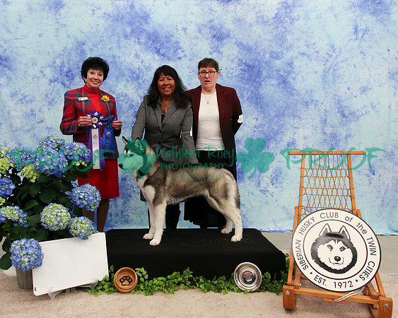PROOF Specialty Siberian Husky Club of the Twin Cities Judge Barbara Dempsey Alderman