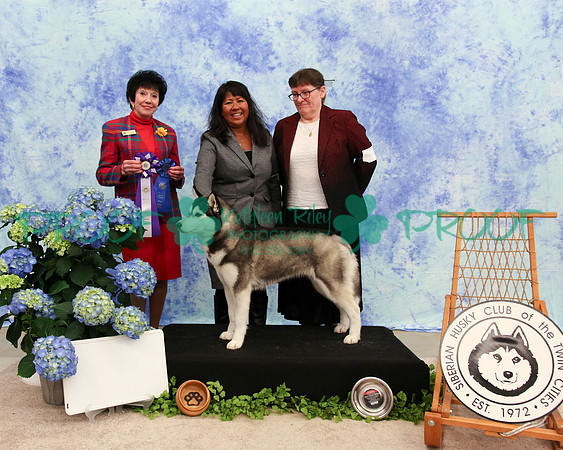 PROOF Specialty Siberian Husky Club of the Twin Cities Judge Barbara Dempsey Alderman