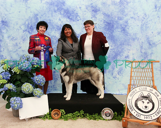 PROOF Specialty Siberian Husky Club of the Twin Cities Judge Barbara Dempsey Alderman