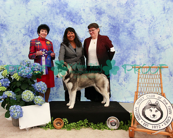 PROOF Specialty Siberian Husky Club of the Twin Cities Judge Barbara Dempsey Alderman