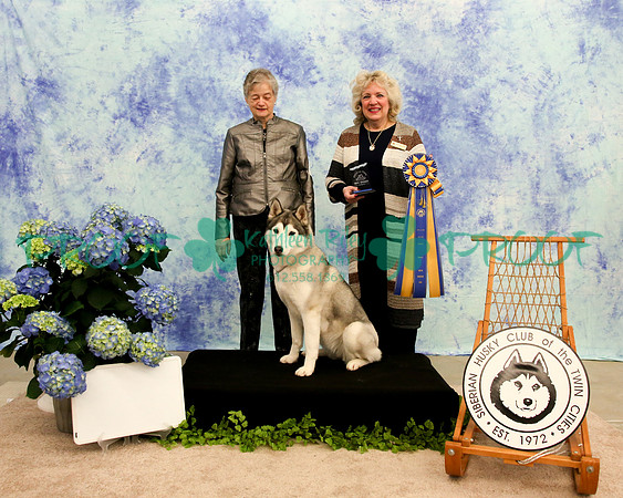 PROOF Siberian Husky Club of the Twin Cities Judge Barbara Wedekind Selton