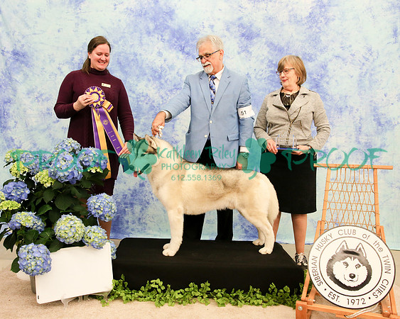 PROOF Siberian Husky Club of the Twin Cities Judge Kelly Kathlyn Boyd