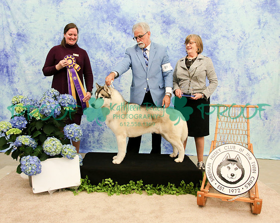PROOF Siberian Husky Club of the Twin Cities Judge Kelly Kathlyn Boyd