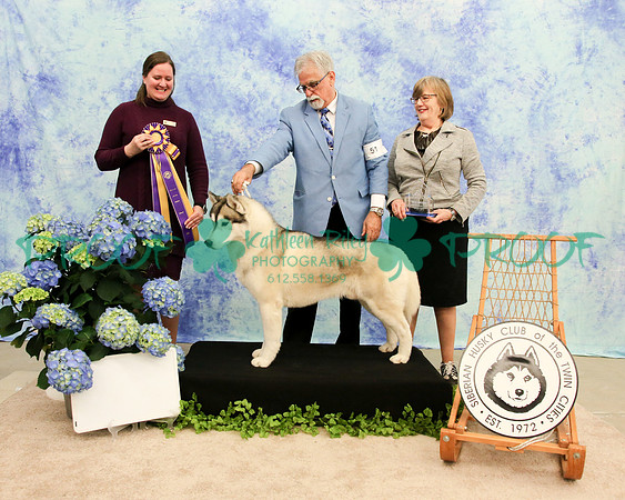PROOF Siberian Husky Club of the Twin Cities Judge Kelly Kathlyn Boyd