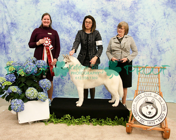 PROOF Siberian Husky Club of the Twin Cities Judge Kelly Kathlyn Boyd