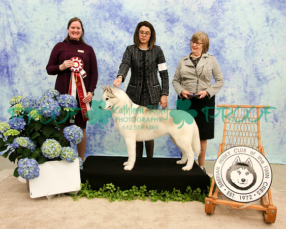 PROOF Siberian Husky Club of the Twin Cities Judge Kelly Kathlyn Boyd