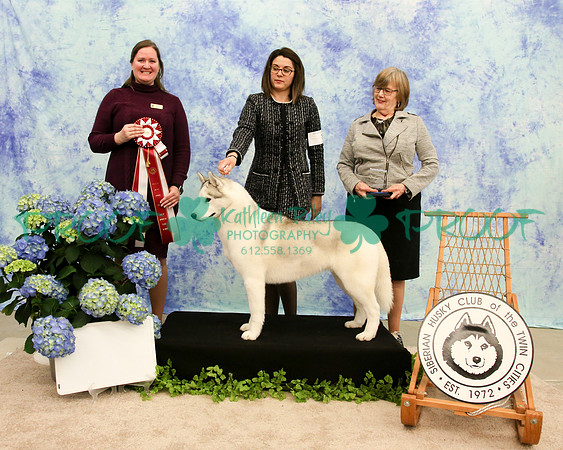 PROOF Siberian Husky Club of the Twin Cities Judge Kelly Kathlyn Boyd
