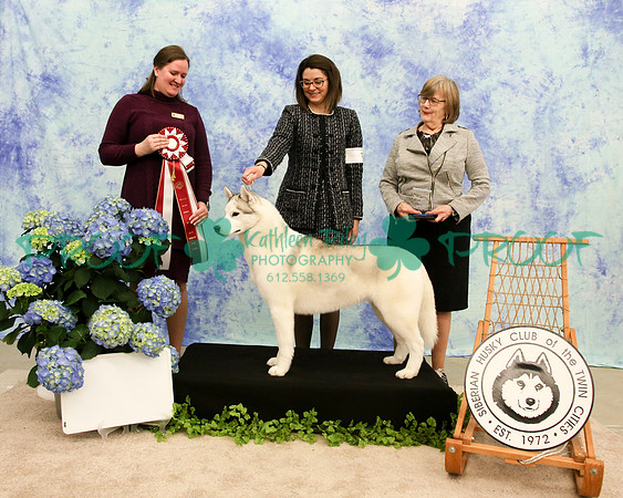 PROOF Siberian Husky Club of the Twin Cities Judge Kelly Kathlyn Boyd