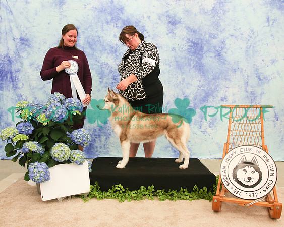 PROOF Siberian Husky Club of the Twin Cities Judge Kelly Kathlyn Boyd
