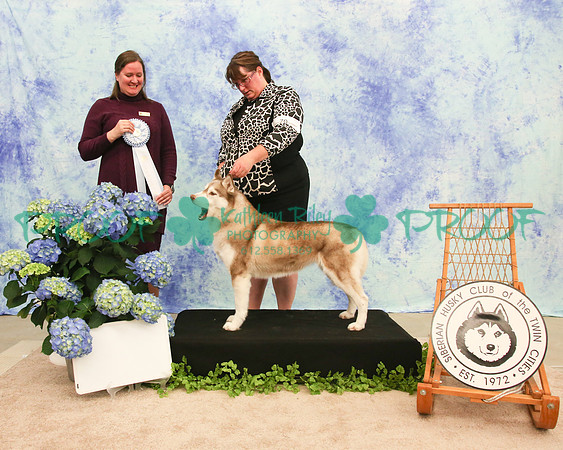 PROOF Siberian Husky Club of the Twin Cities Judge Kelly Kathlyn Boyd