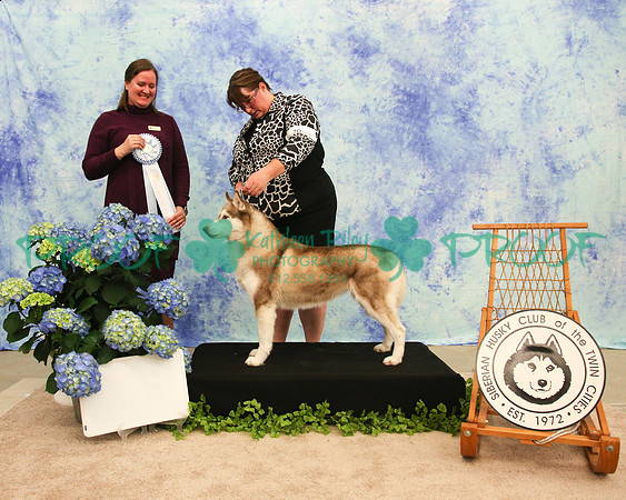 PROOF Siberian Husky Club of the Twin Cities Judge Kelly Kathlyn Boyd
