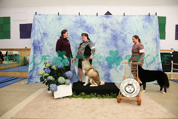 PROOF Siberian Husky Club of the Twin Cities Judge Kelly Kathlyn Boyd
