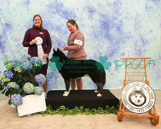 PROOF Siberian Husky Club of the Twin Cities Judge Kelly Kathlyn Boyd