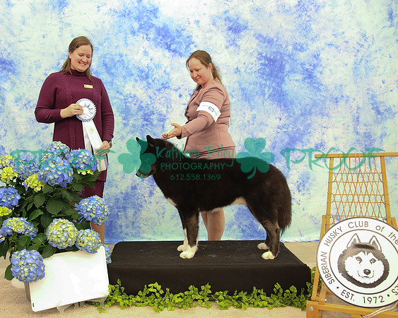 PROOF Siberian Husky Club of the Twin Cities Judge Kelly Kathlyn Boyd