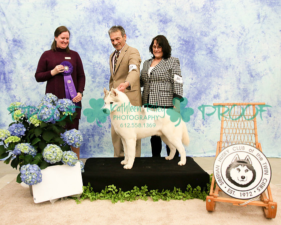 PROOF Siberian Husky Club of the Twin Cities Judge Kelly Kathlyn Boyd
