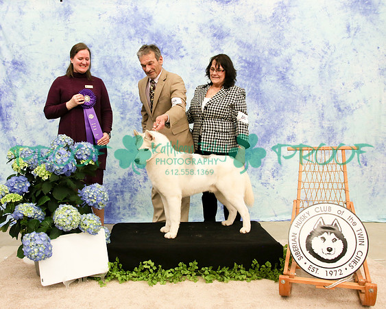PROOF Siberian Husky Club of the Twin Cities Judge Kelly Kathlyn Boyd