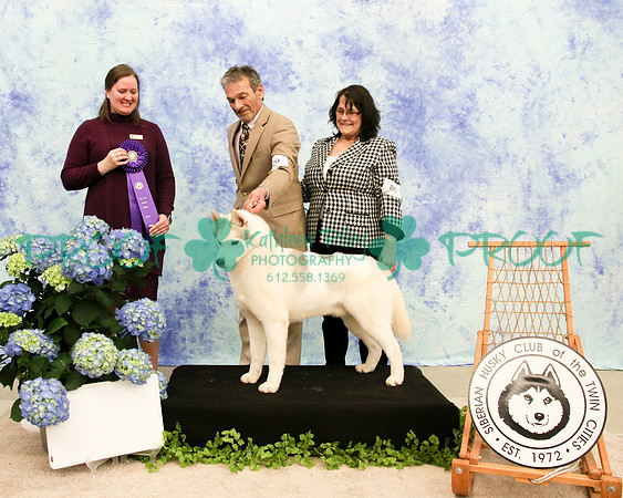 PROOF Siberian Husky Club of the Twin Cities Judge Kelly Kathlyn Boyd