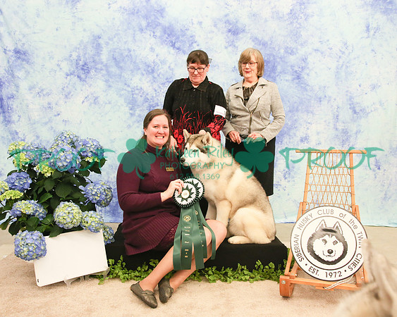PROOF Siberian Husky Club of the Twin Cities Judge Kelly Kathlyn Boyd