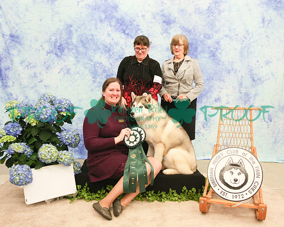 PROOF Siberian Husky Club of the Twin Cities Judge Kelly Kathlyn Boyd