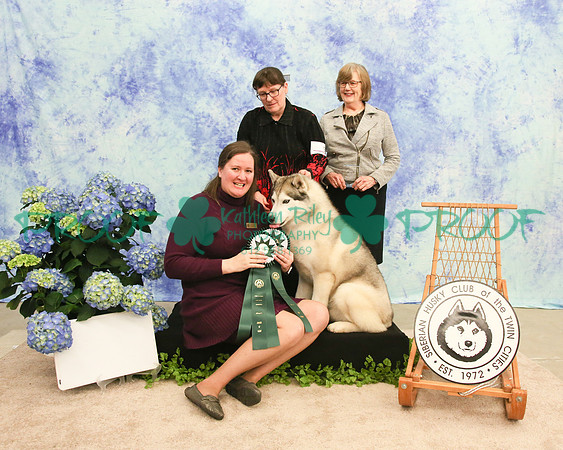 PROOF Siberian Husky Club of the Twin Cities Judge Kelly Kathlyn Boyd